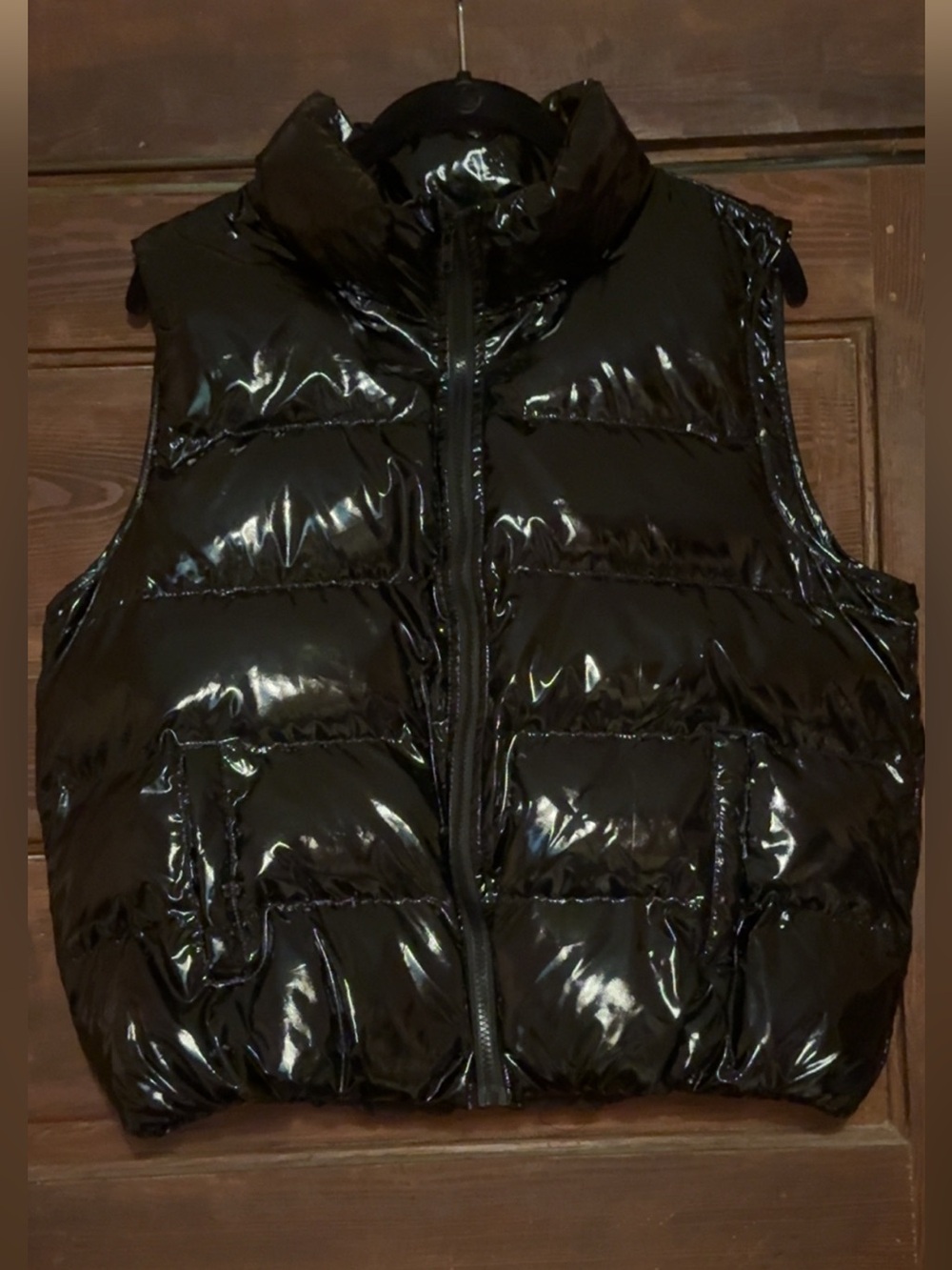 TCEC Shiny Black Quilted Puffer Vest